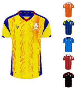 Áo bóng đá không logo VH-LION 2021 vải mè 6 màu