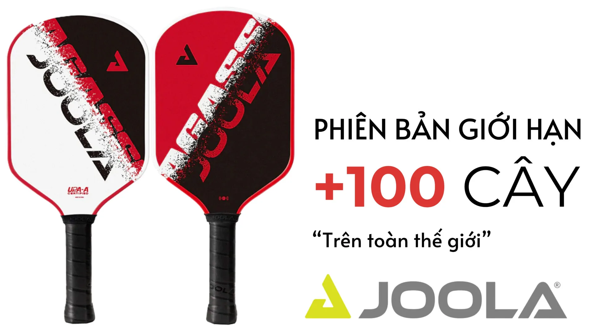 (TITLE)% 10 Mau Vot Pickleball Dang Cap Lam Qua Tang Sep Va Doi Tac 10