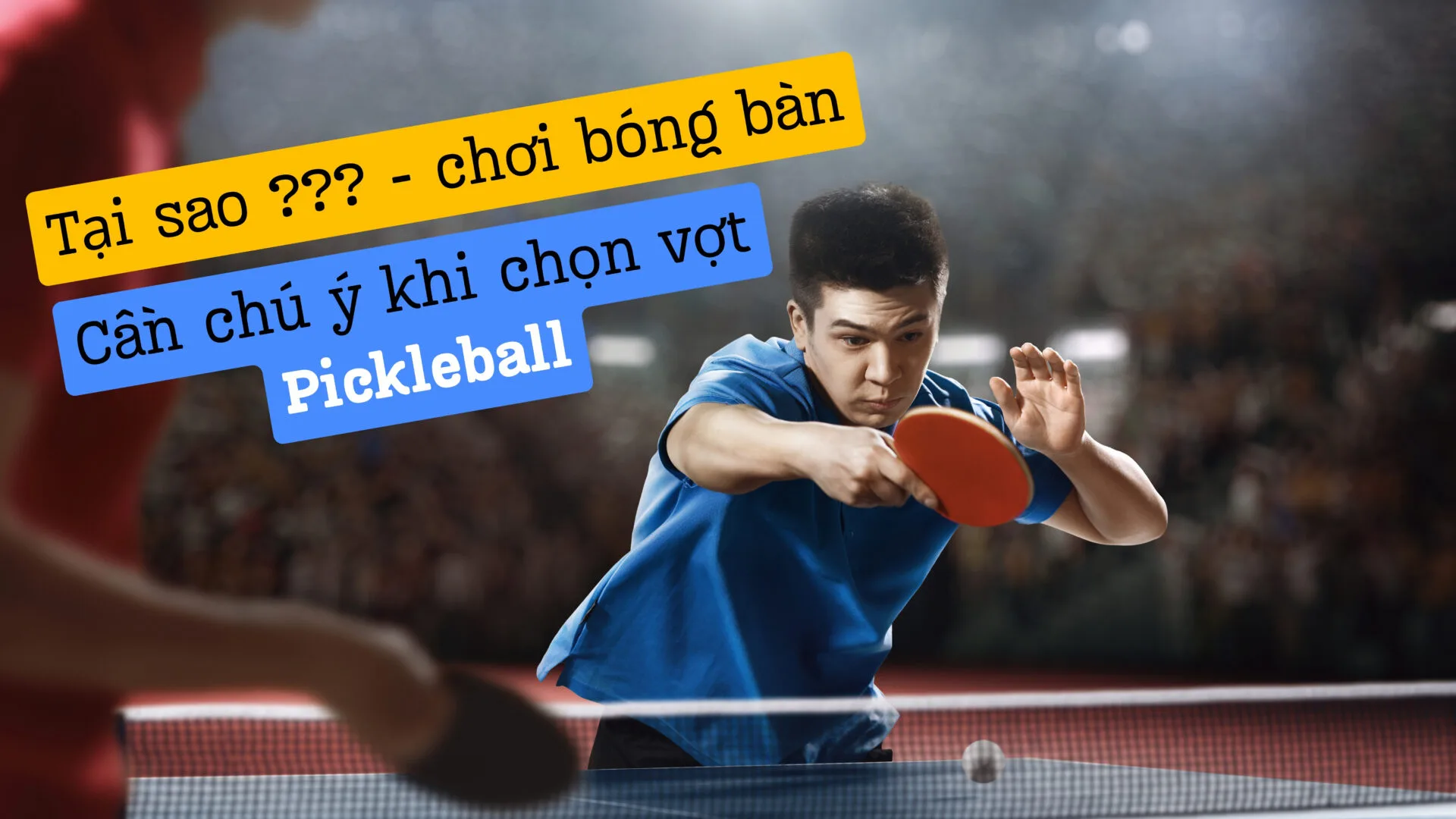 (TITLE)% Choi Bong Ban Chuyen Sang Pickleball Chon Vot Gi 02