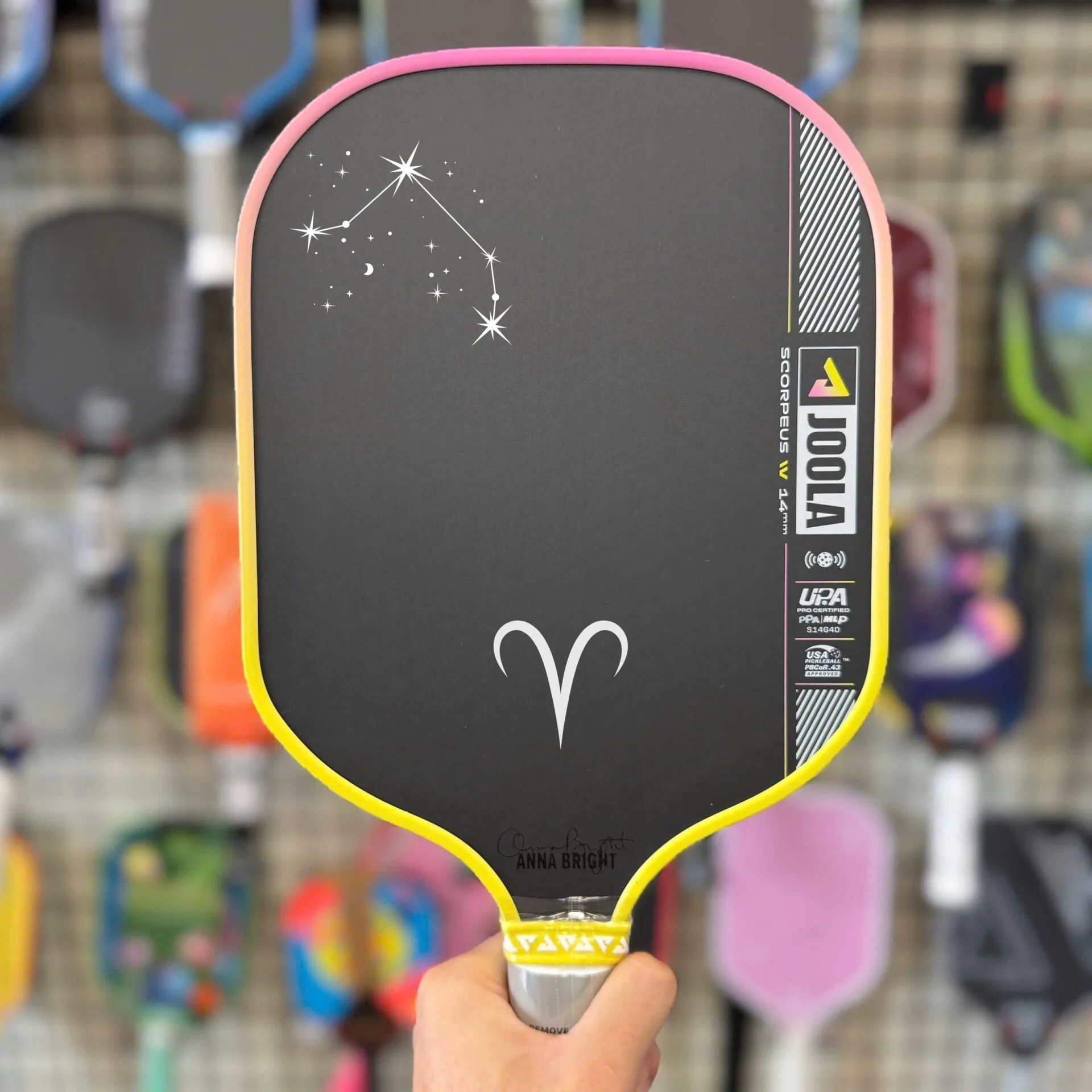 In Vot Pickleball Theo Yeu Cau In Ten Logo Thuong Hieu Slogan Dep Hinh Anh 004