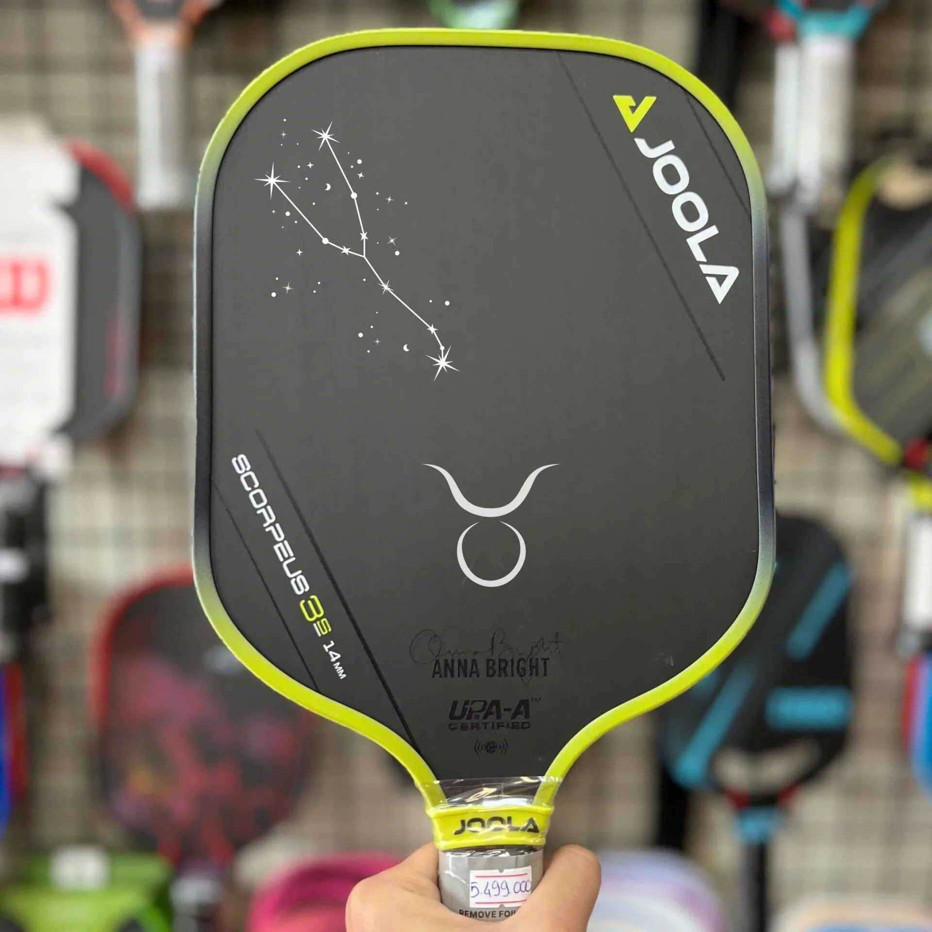 In Vot Pickleball Theo Yeu Cau In Ten Logo Thuong Hieu Slogan Dep Hinh Anh 005