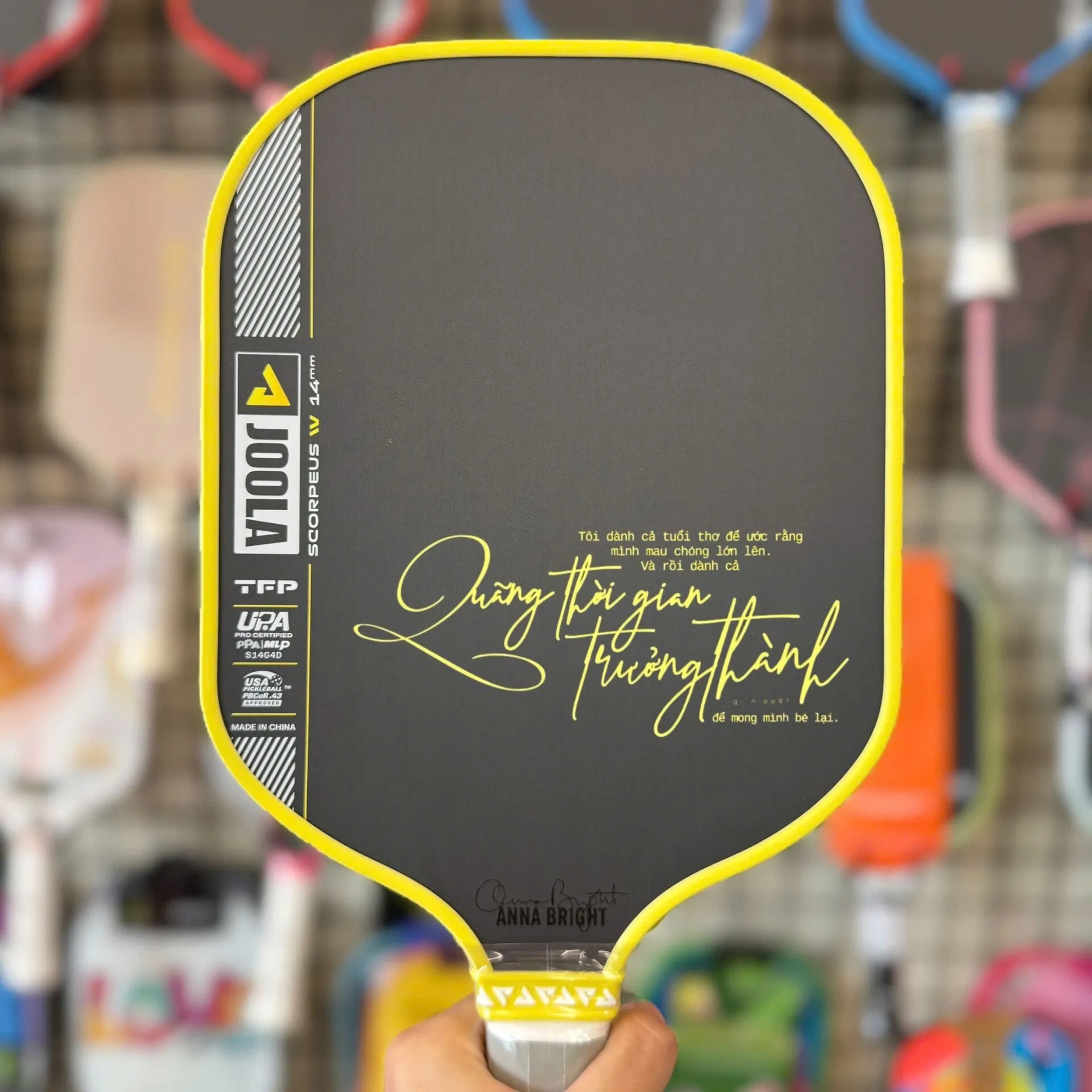 In Vot Pickleball Theo Yeu Cau In Ten Logo Thuong Hieu Slogan Dep Hinh Anh 008