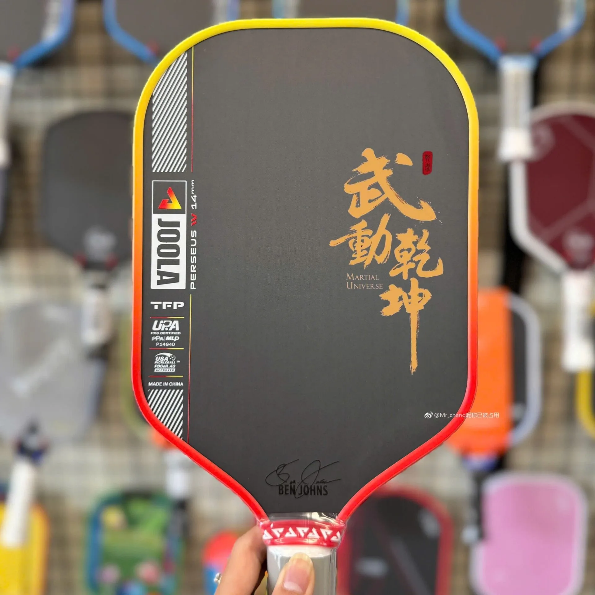 In Vot Pickleball Theo Yeu Cau In Ten Logo Thuong Hieu Slogan Dep Hinh Anh 020