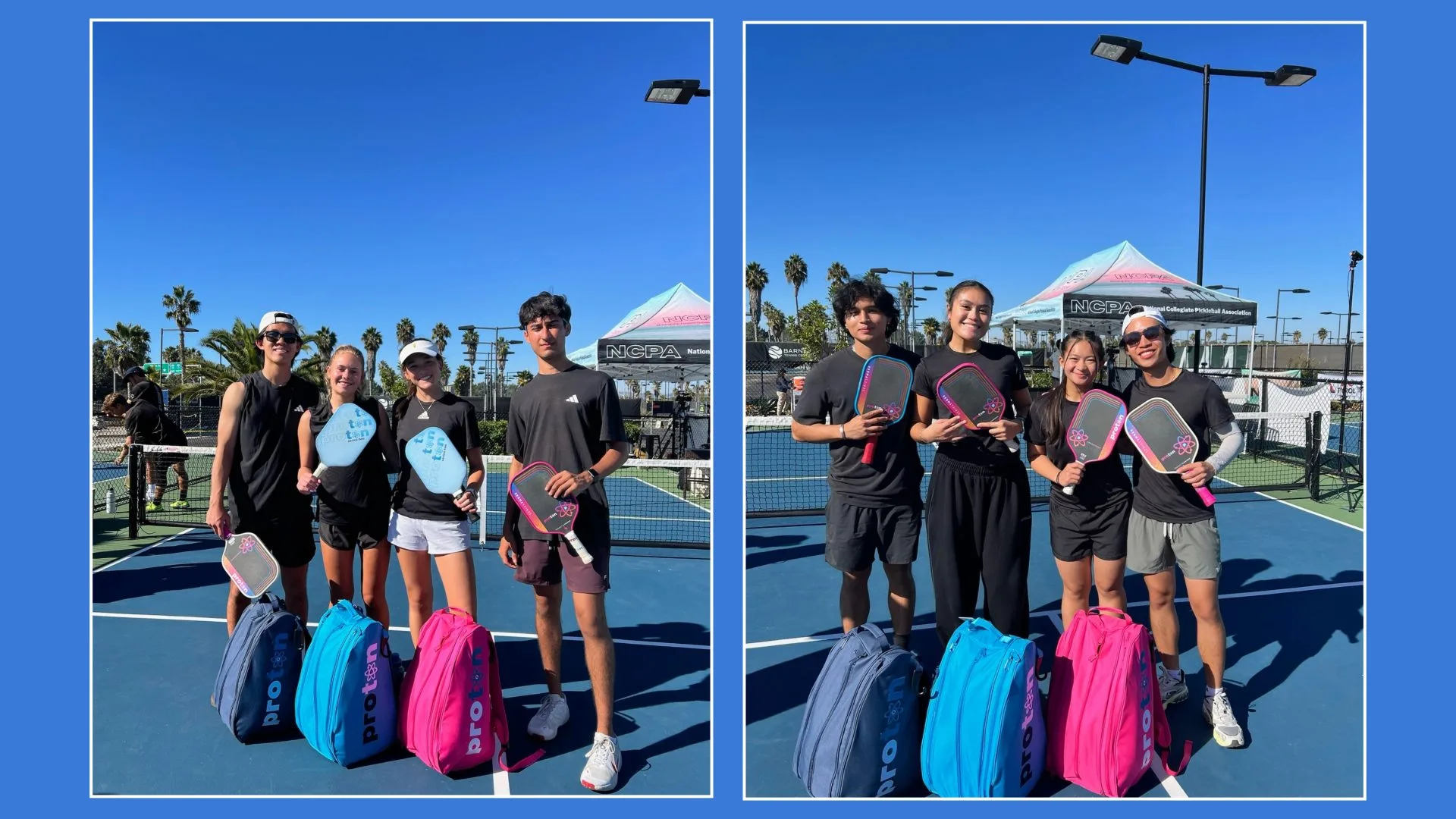 So Sanh Proton Flamingo Va Proton Peacock 02