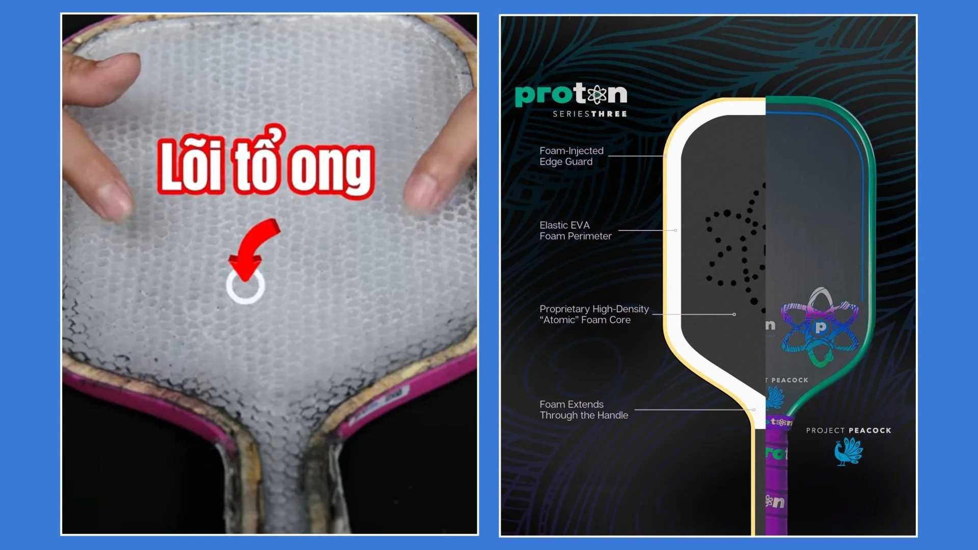 So Sanh Proton Flamingo Va Proton Peacock 04