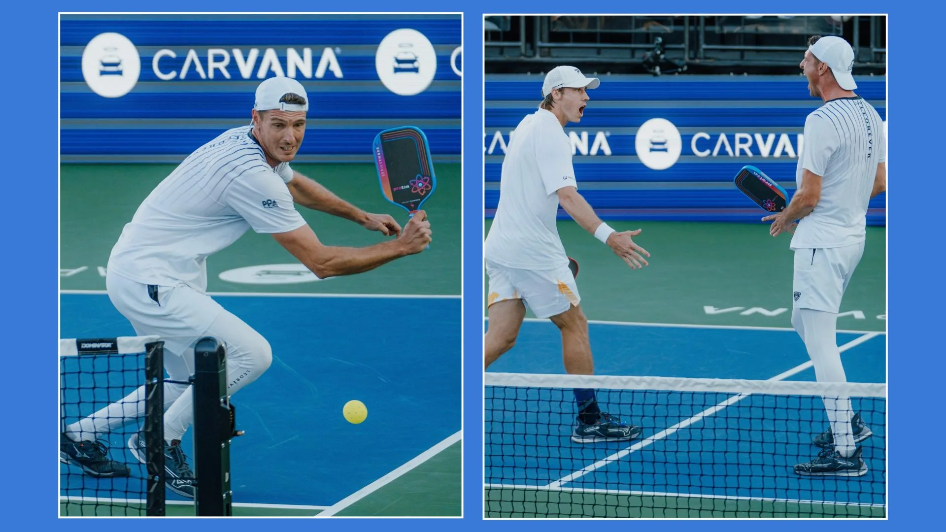 So Sanh Proton Flamingo Va Proton Peacock 05