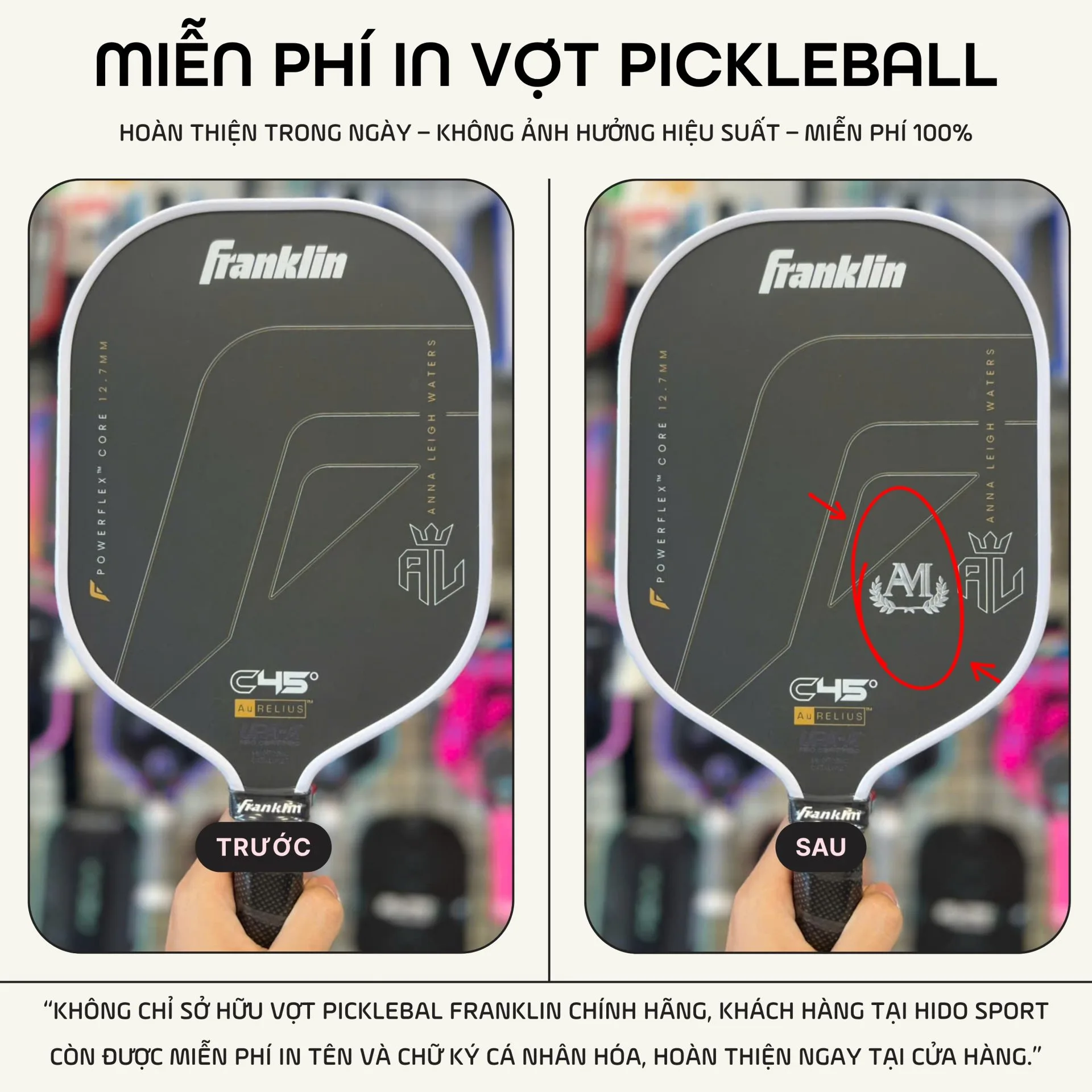 Vot Pickleball Franklin Anna Hinh Anh Thuc Te Tai Hido Sport Infographic In Vot Pickleball 02