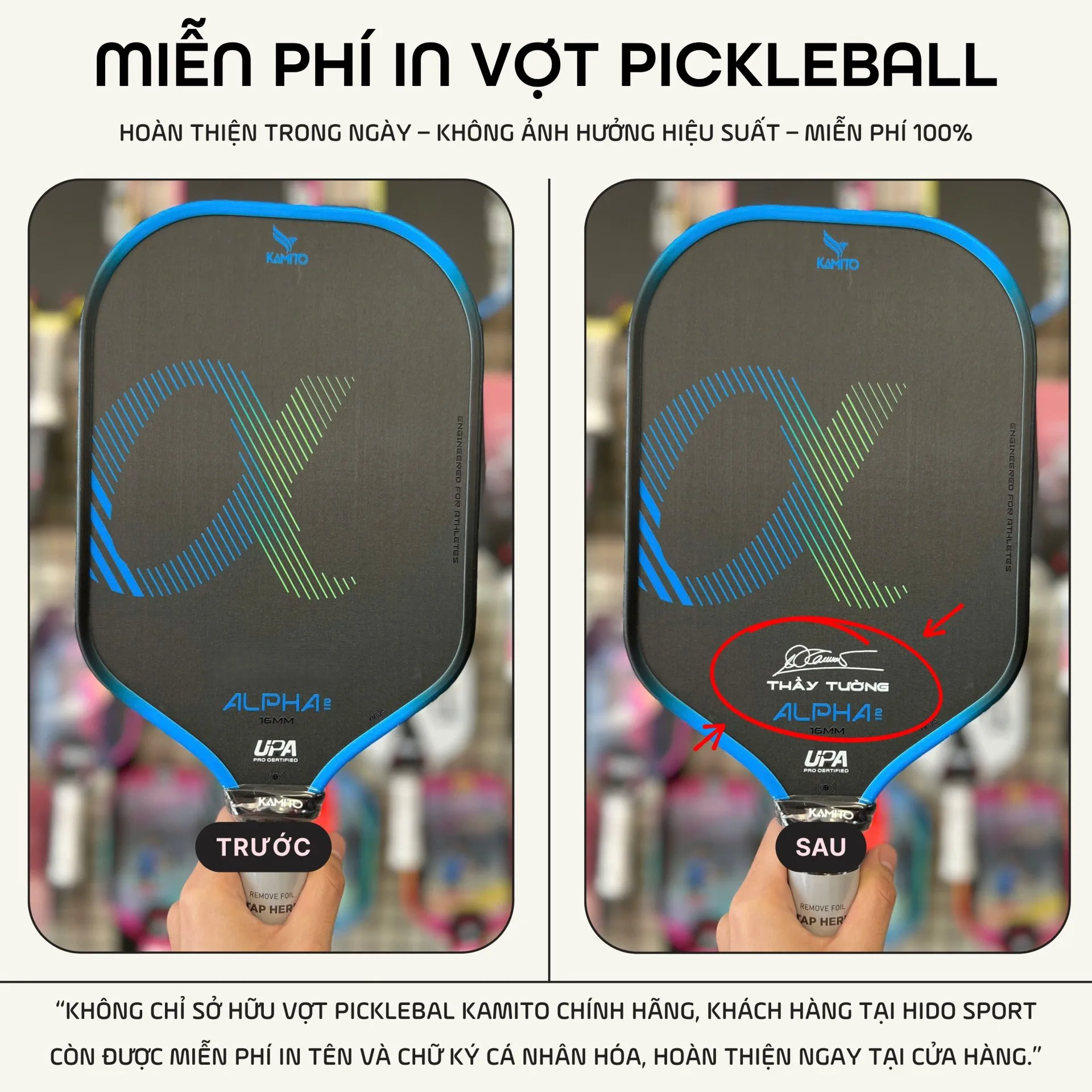 Vot Pickleball Kamito Alpha 2 Ly Hoang Nam Hinh Anh Thuc Te Tai Hido Sport Infographic 02