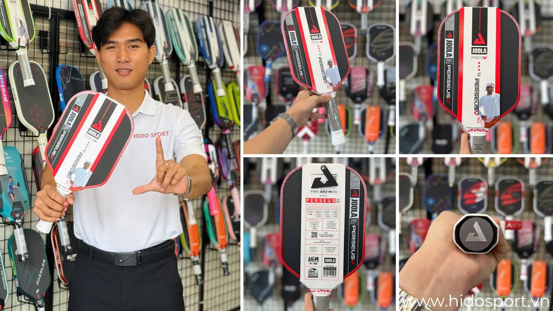 Joola Pro V Perseus Vot Pickleball