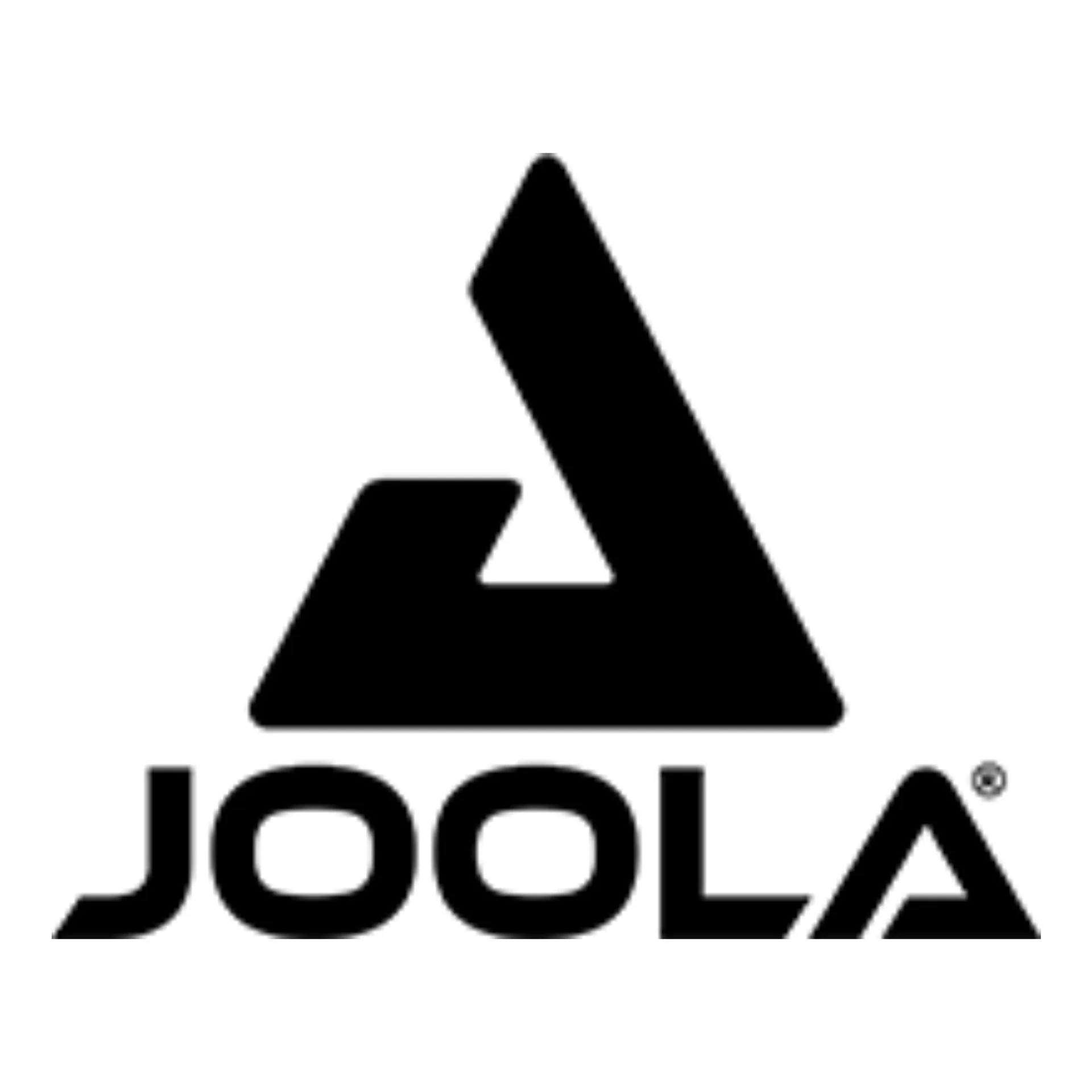 Hido Pickleball Logo Joola