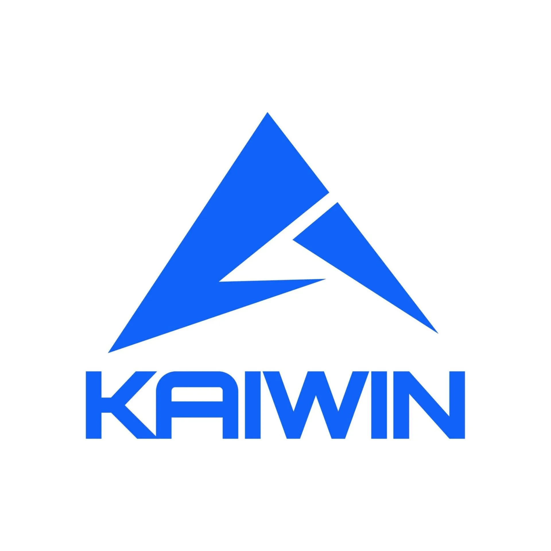 Hido Pickleball Logo Kaiwin