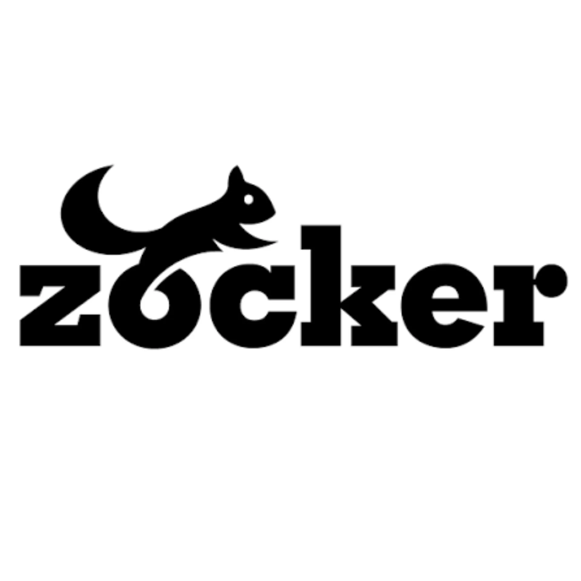Hido Pickleball Logo Zocker